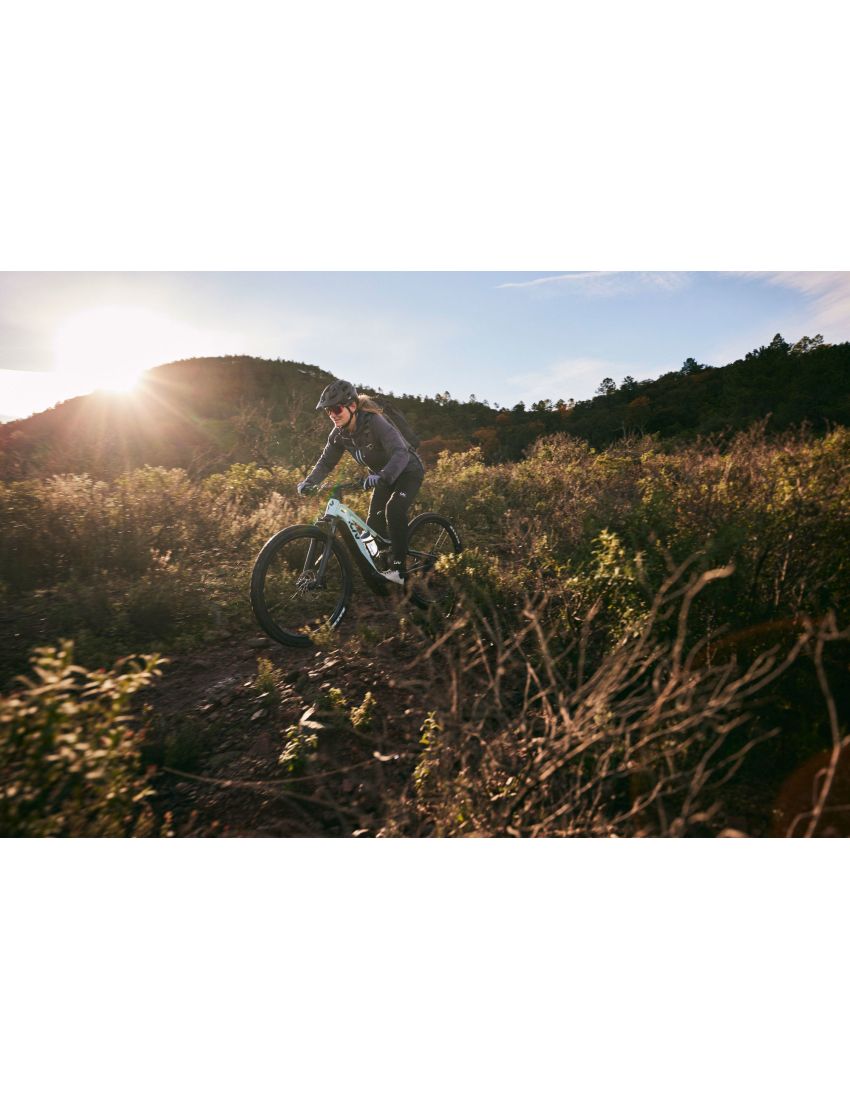 Liv Embolden E+ 2 625