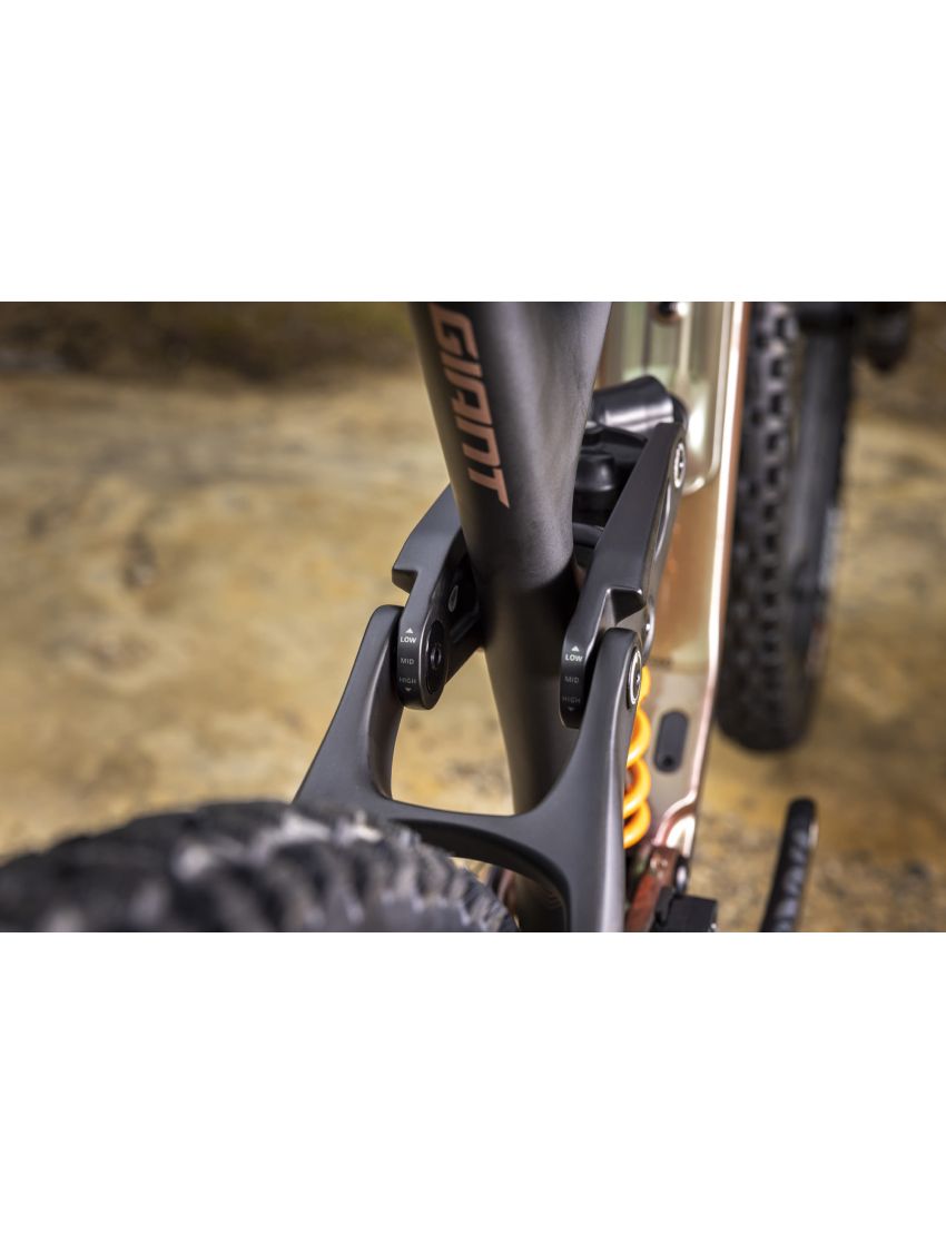 Giant Reign Advanced Pro 0