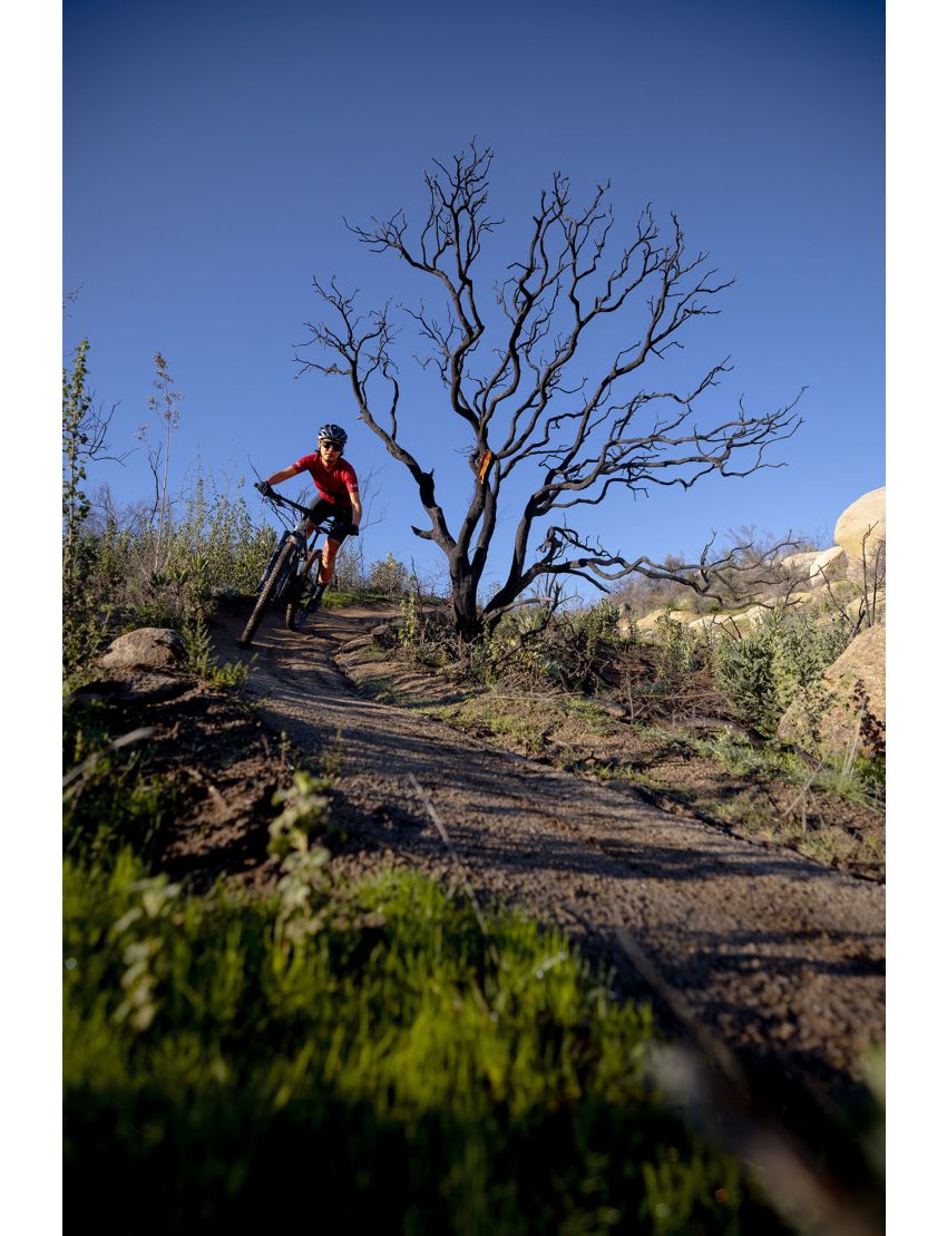 Liv Pique Advanced 29 2