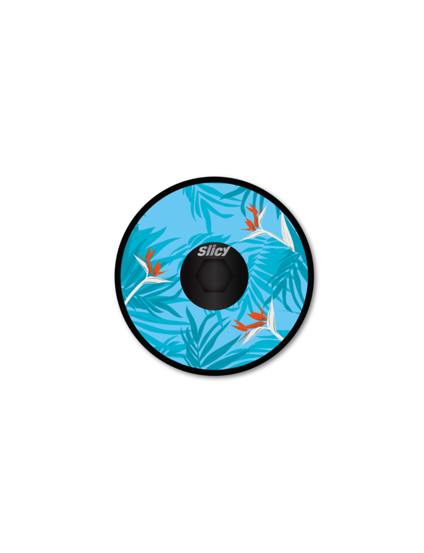 Fun Cap SLICY - Headset Cap TROPICAL