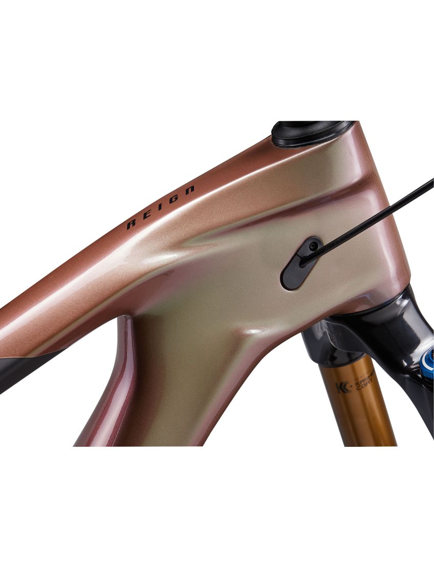 Giant Reign Advanced Pro 0