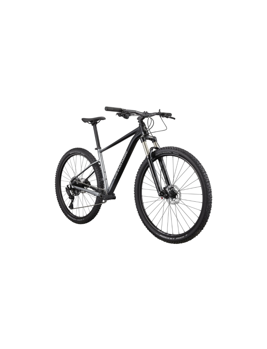 Rower CANNONDALE Trail 4 SL 29