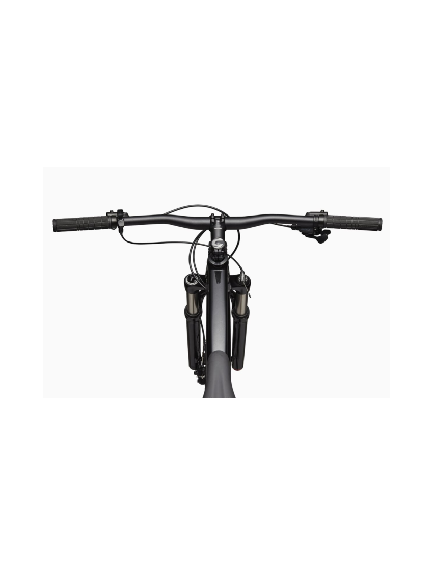 Rower Cannondale Trail 4 SL 29