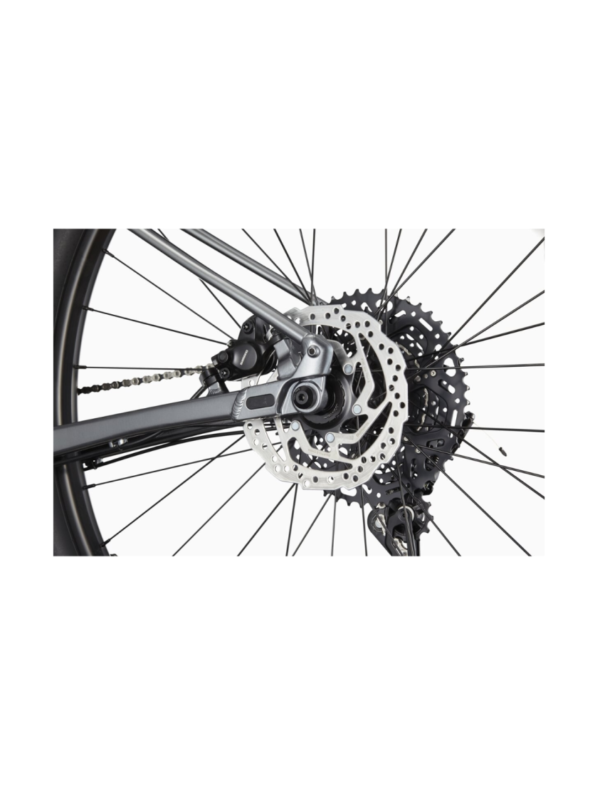 Rower Cannondale Trail 4 SL 29