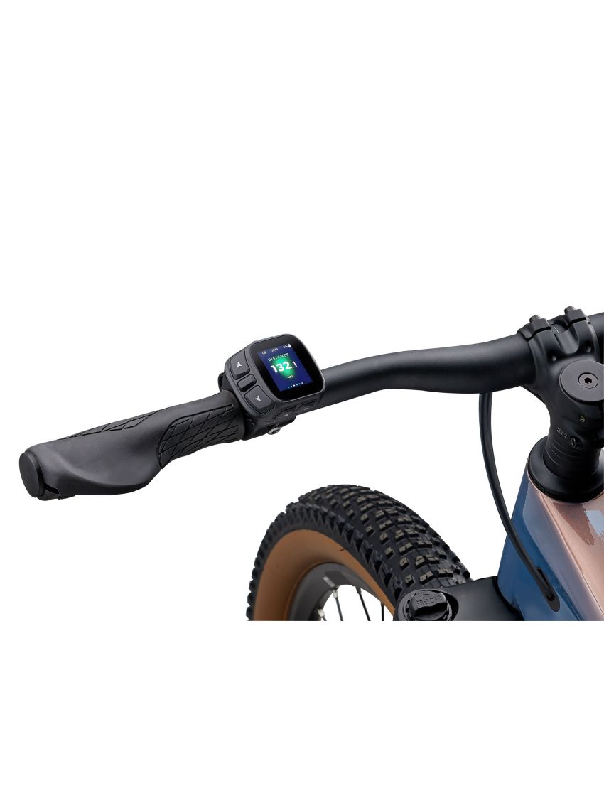 Rower LIV Tempt E+ Lunar Eclipse