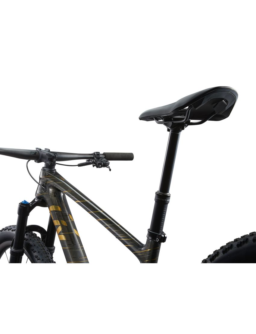 Liv Pique Advanced 29 1