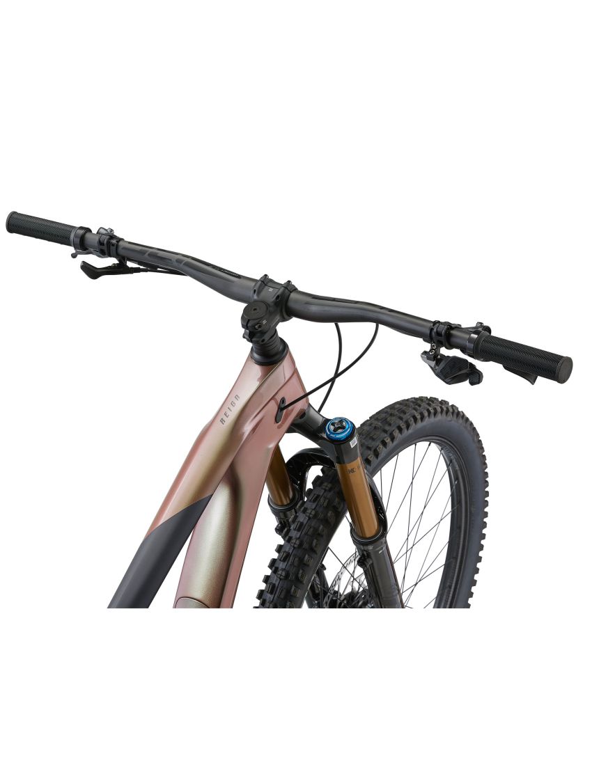 Giant Reign Advanced Pro 0