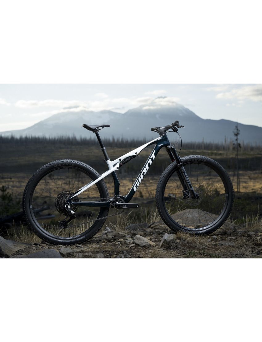 Giant Anthem Advanced SL 2