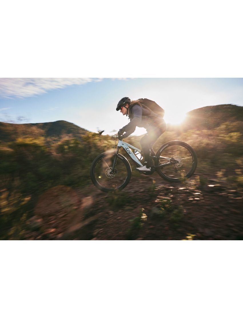 Liv Embolden E+ 2 625