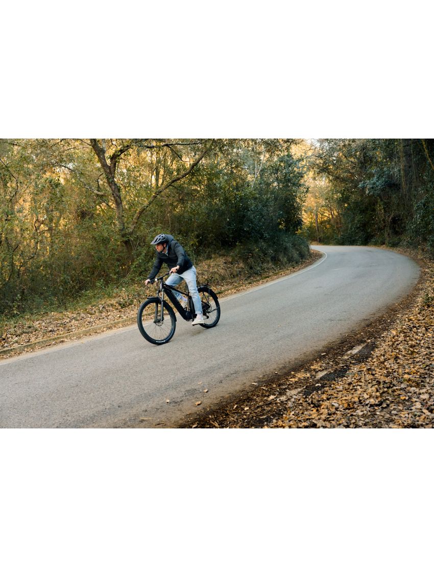 Giant Fathom E+ 2 EX