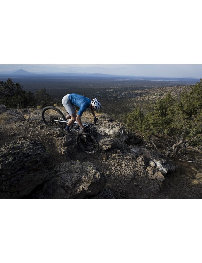 Giant Anthem Advanced SL 2