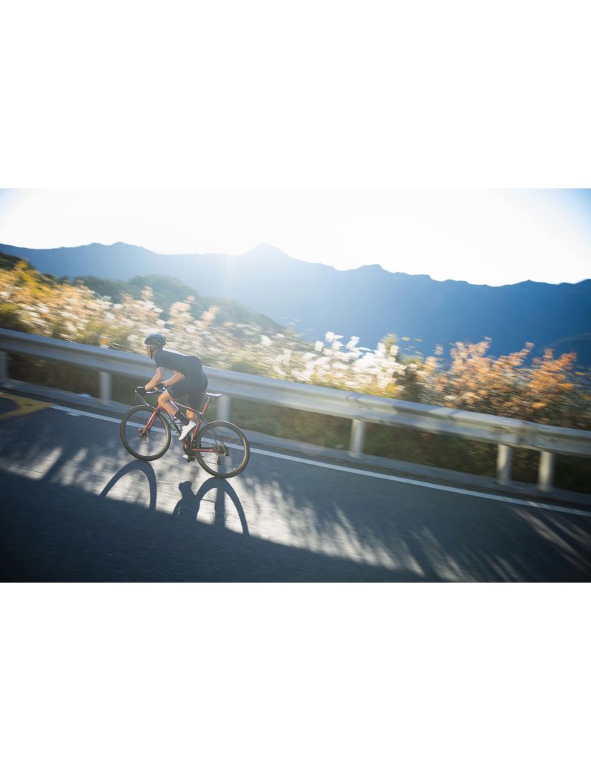 Giant TCR Advanced SL 0 DA