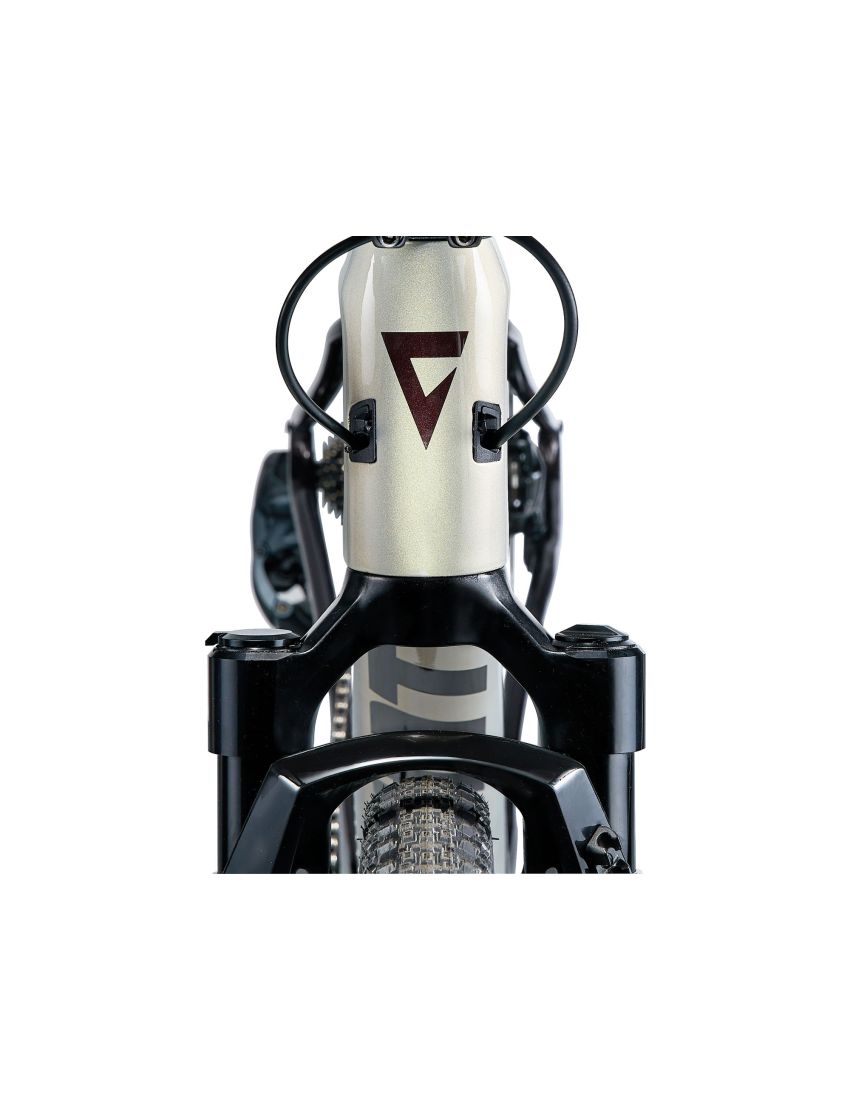 Giant Revolt X Advanced Pro 1