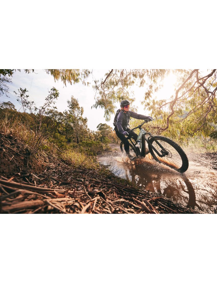 Liv Embolden E+ 2 625