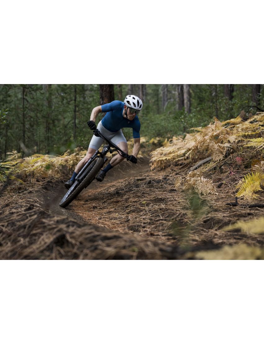 Giant Anthem Advanced SL 2