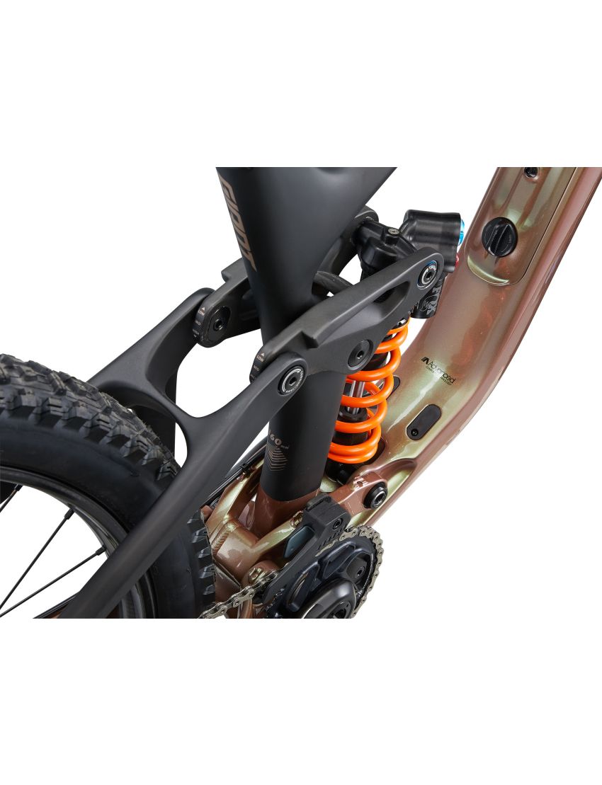 Giant Reign Advanced Pro 0