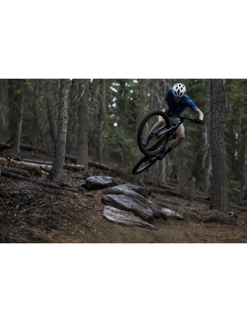 Giant Anthem Advanced SL 2