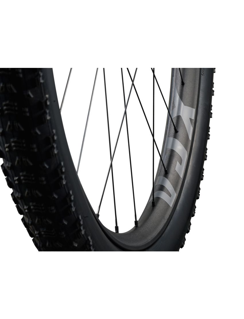 Giant Anthem Advanced SL 2