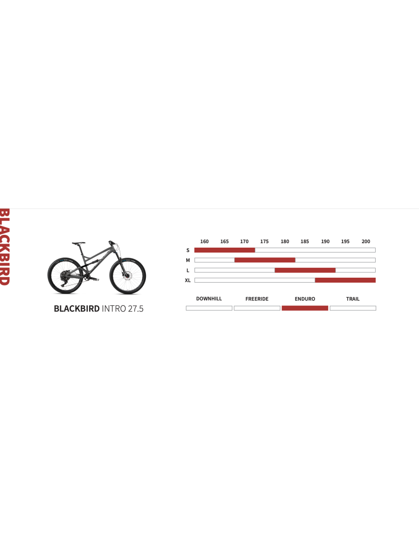Rower DARTMOOR Blackbird Intro 27.5